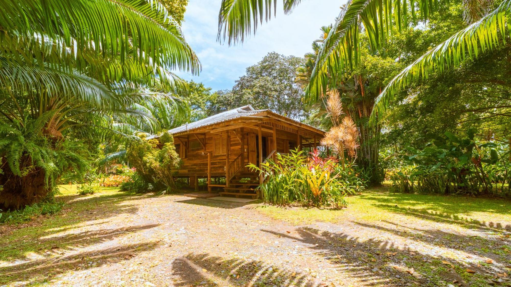 Casa Viva Lodge Puerto Viejo de Talamanca Exterior photo