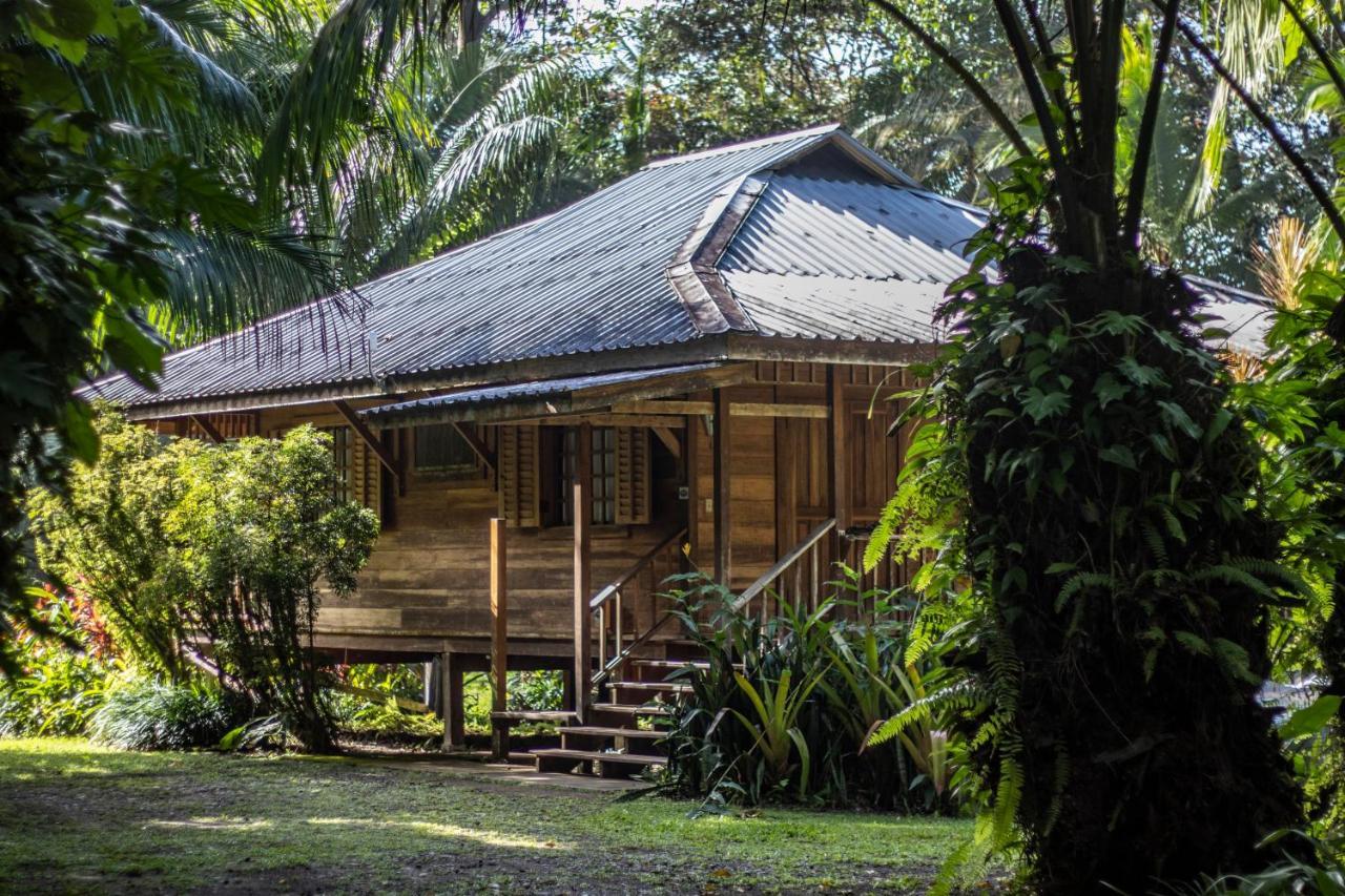 Casa Viva Lodge Puerto Viejo de Talamanca Exterior photo