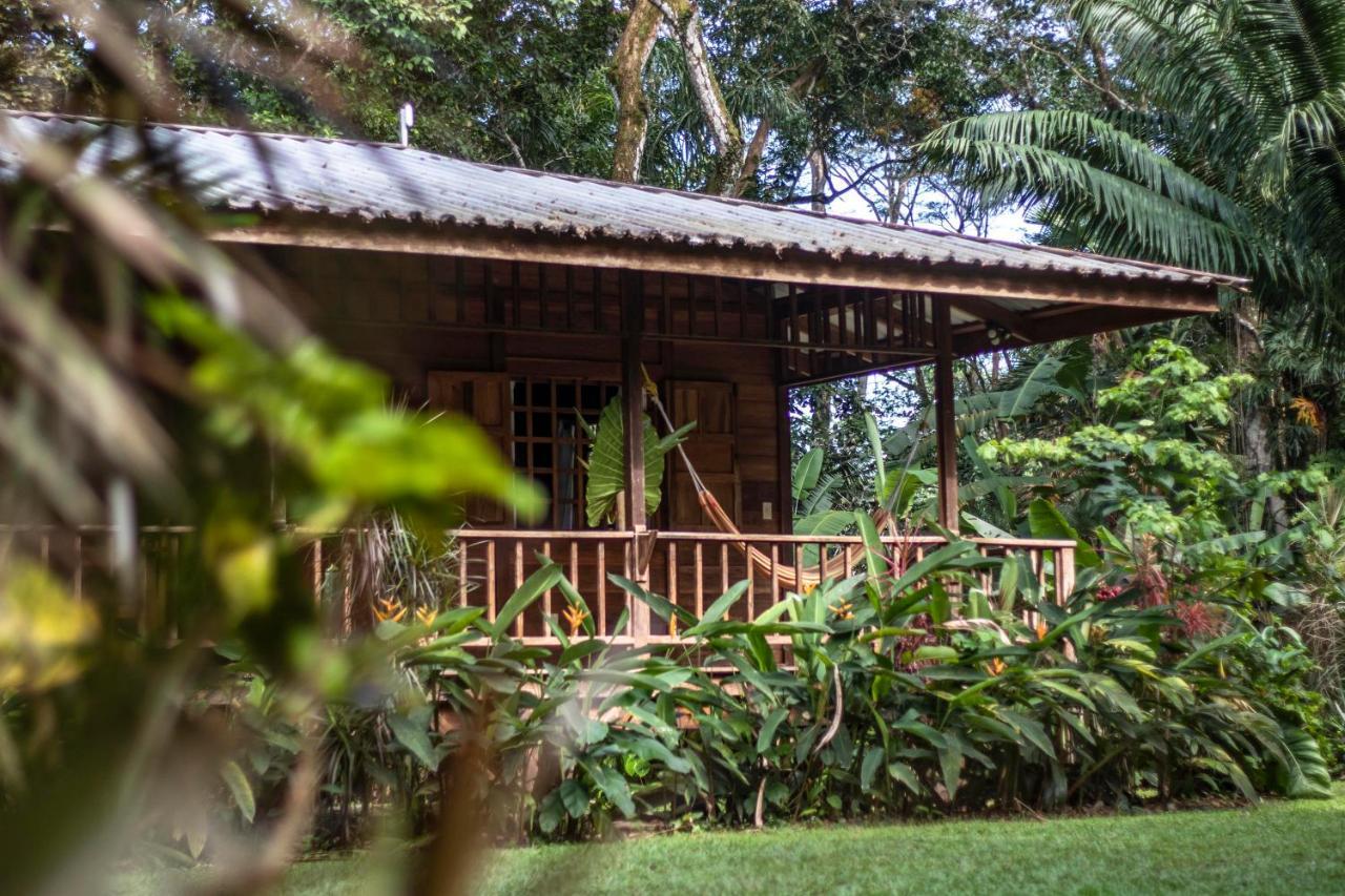 Casa Viva Lodge Puerto Viejo de Talamanca Exterior photo