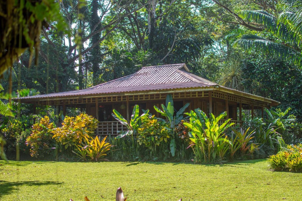 Casa Viva Lodge Puerto Viejo de Talamanca Exterior photo