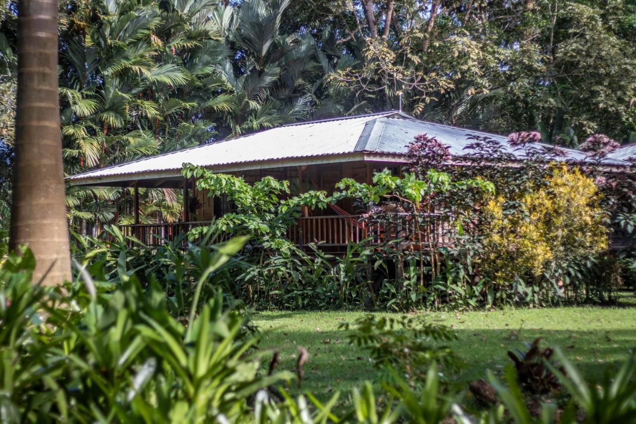 Casa Viva Lodge Puerto Viejo de Talamanca Exterior photo