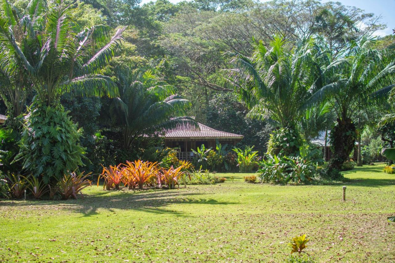 Casa Viva Lodge Puerto Viejo de Talamanca Exterior photo