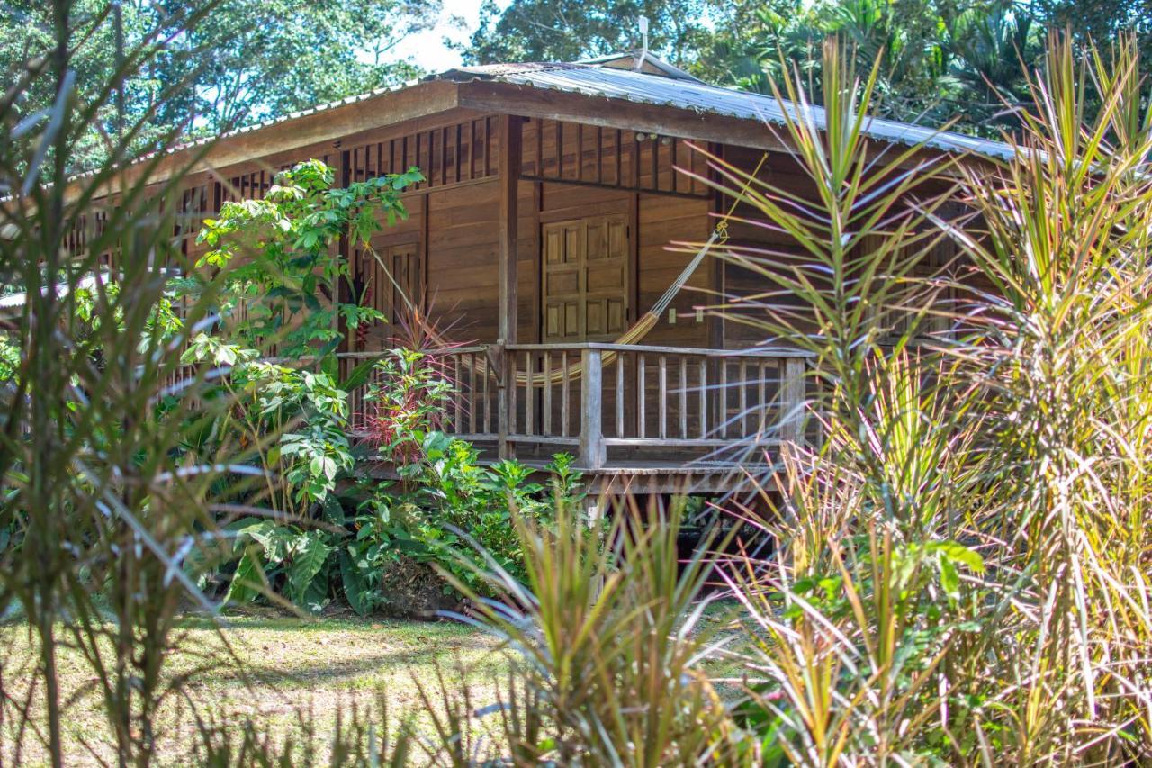 Casa Viva Lodge Puerto Viejo de Talamanca Exterior photo
