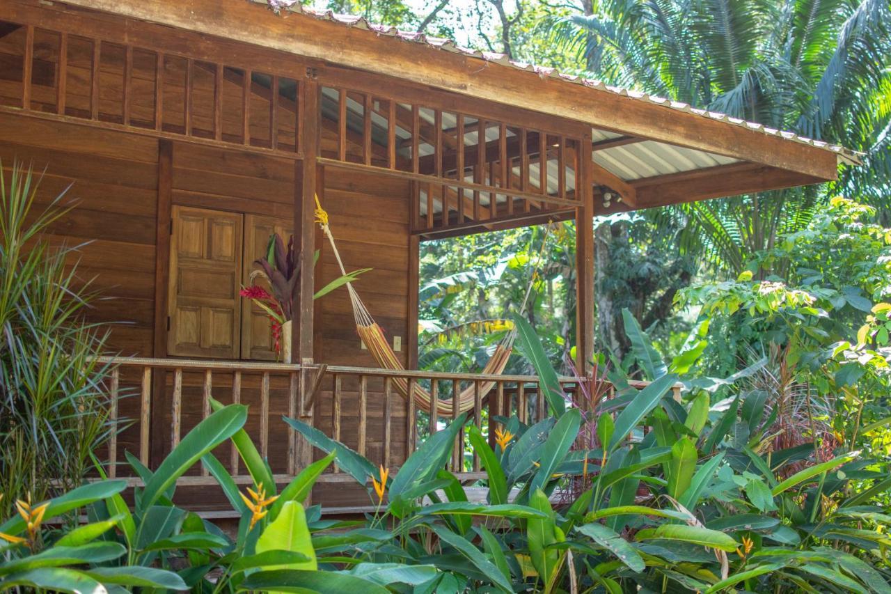 Casa Viva Lodge Puerto Viejo de Talamanca Exterior photo