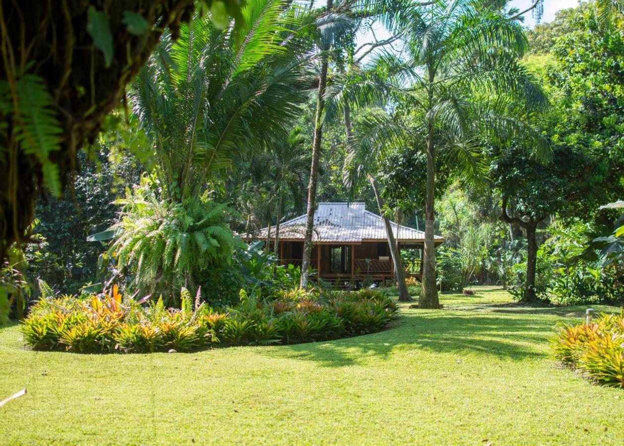 Casa Viva Lodge Puerto Viejo de Talamanca Exterior photo